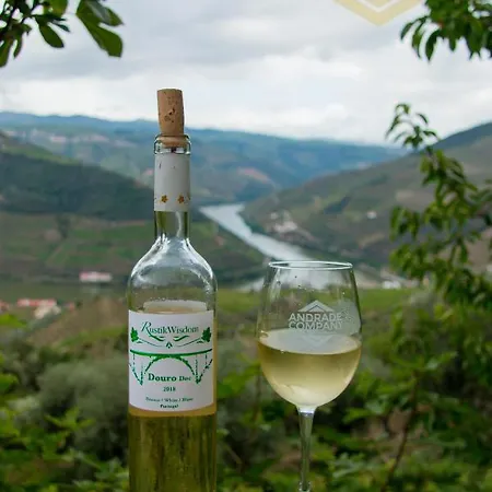6 Pinhão